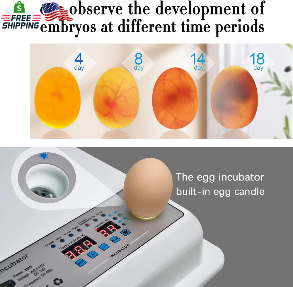 Incubators for Hatching Eggs, Egg Incubator with Automatic Egg Turning and Humid