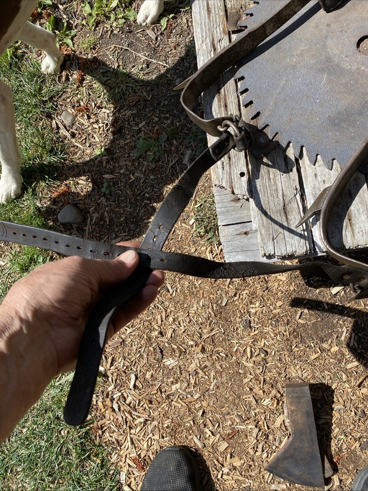 Buckingham Lineman Pole Climbing Spikes/Tree Climbing Spikes Adjustable