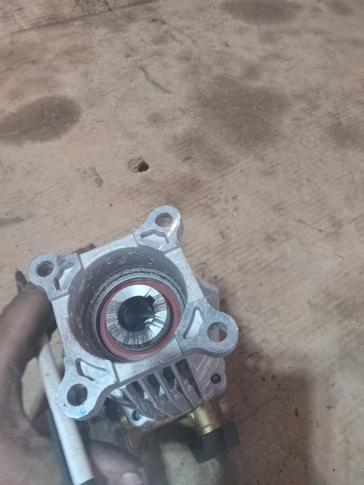 Homelite 308418006