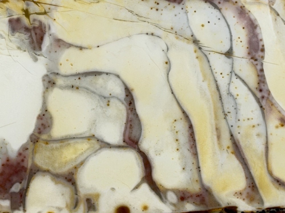 Willow Creek Jasper Slab, Lot#215