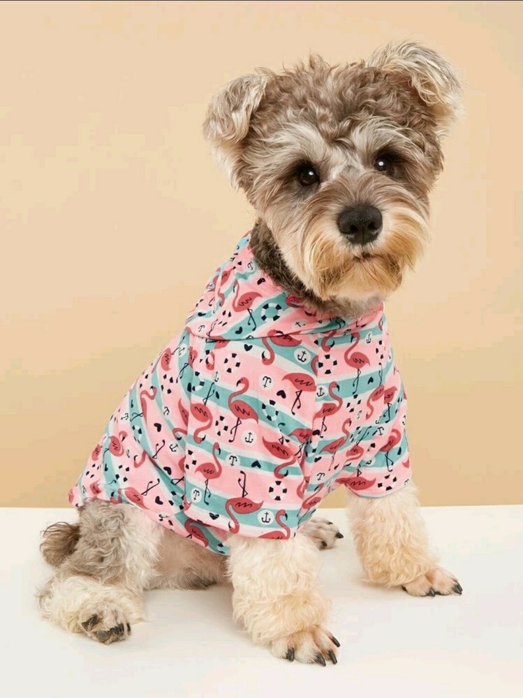 Cute Pet Hoodie for fall and winter