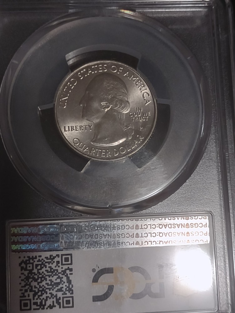 Earring Error - 2019 P Lowell Washington Quarter 25c - Die Chip