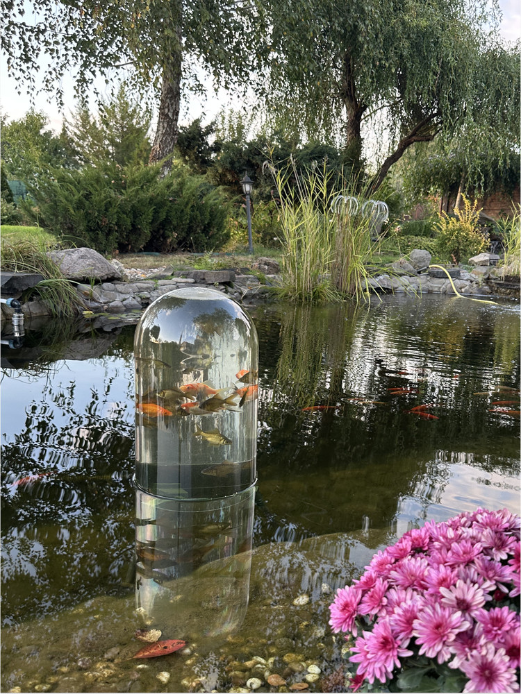 FishView