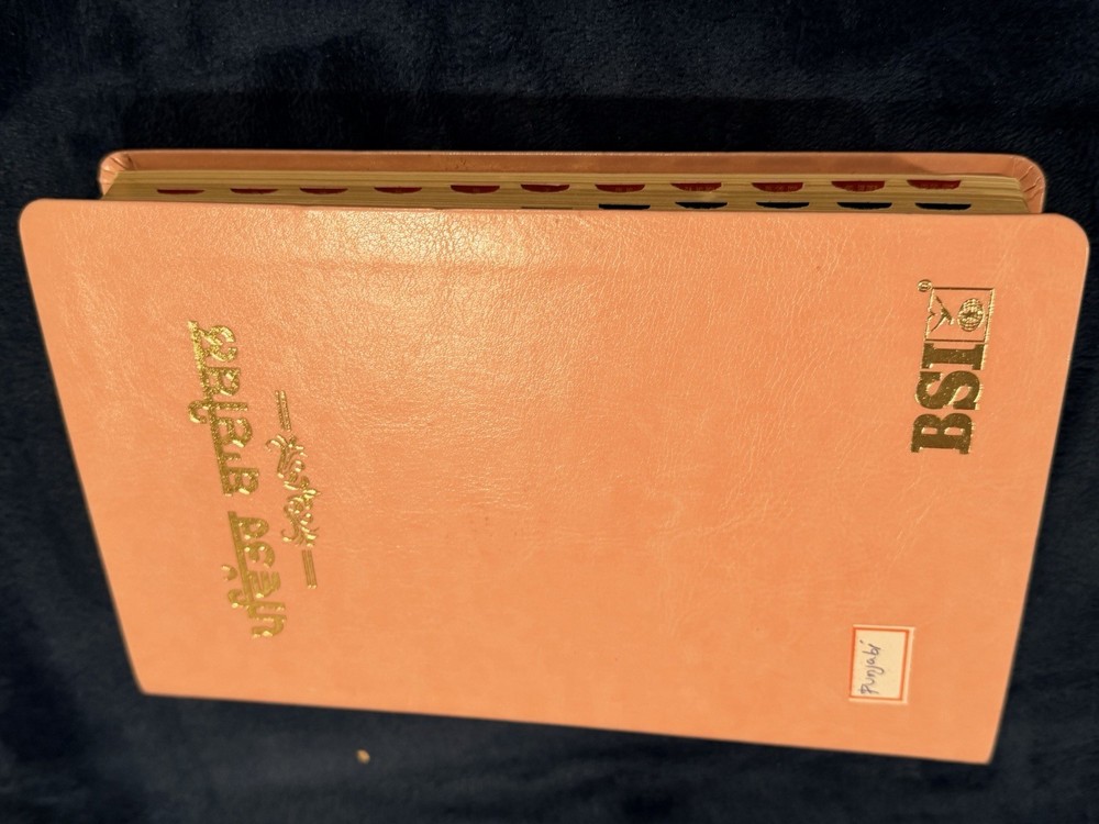 Punjabi Bible