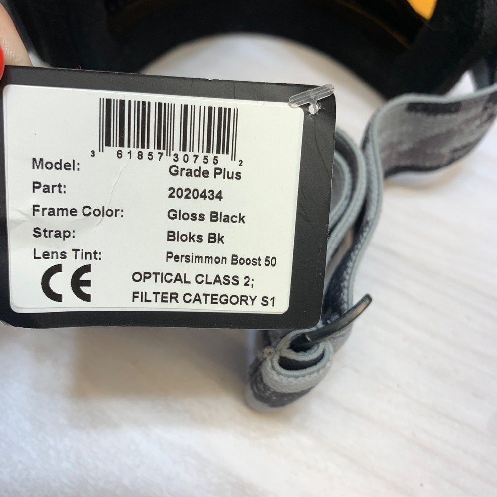 Giro Grade Plus Ski Goggles Black Frame Lens