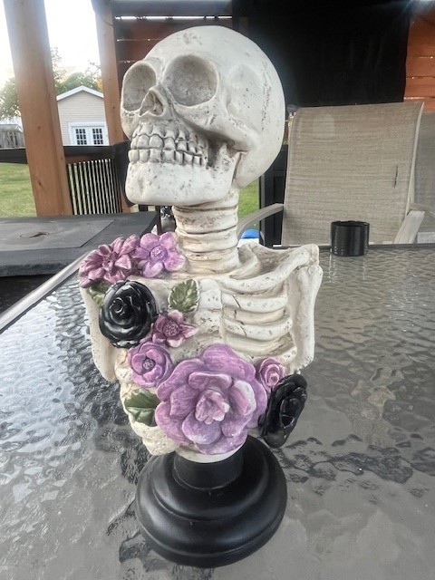 9 inch Skeleton Skull Figurine Statue