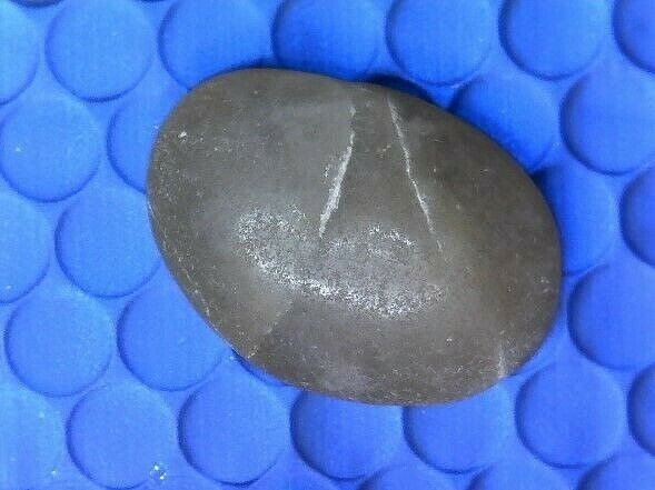 Rock Specimen #203---UNKNOWN SPECIMEN