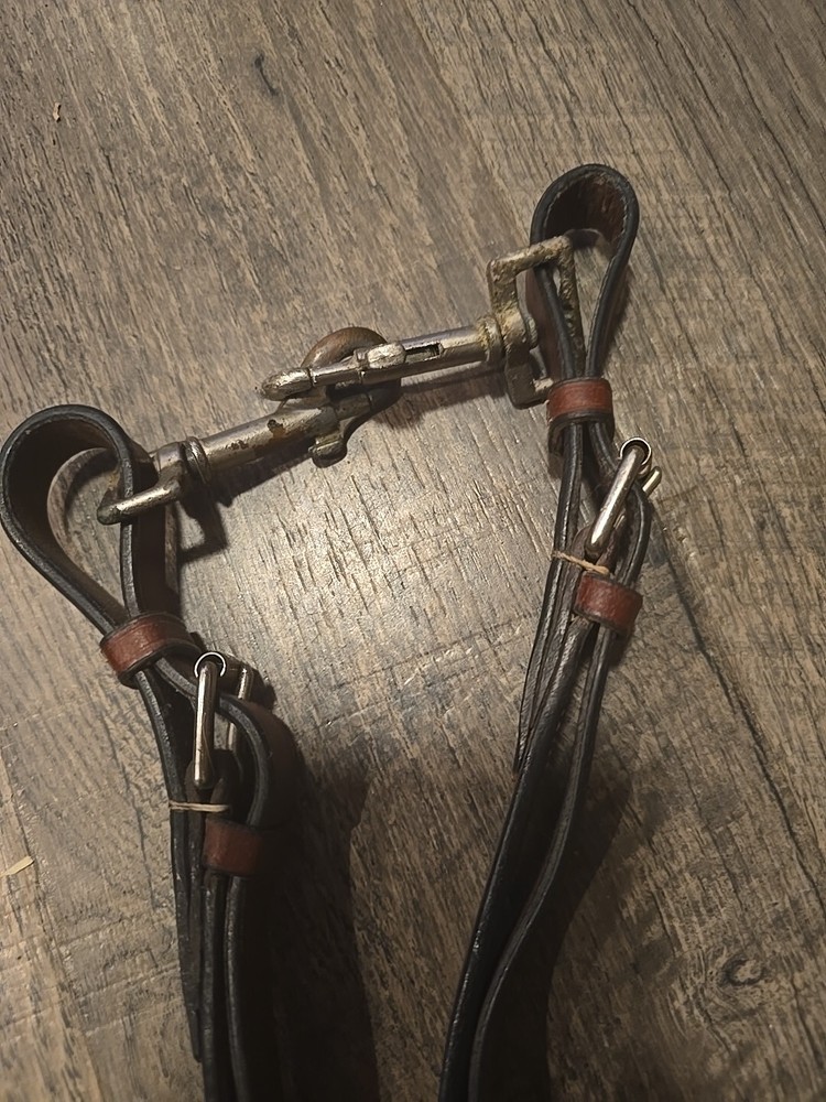 Horse Tack