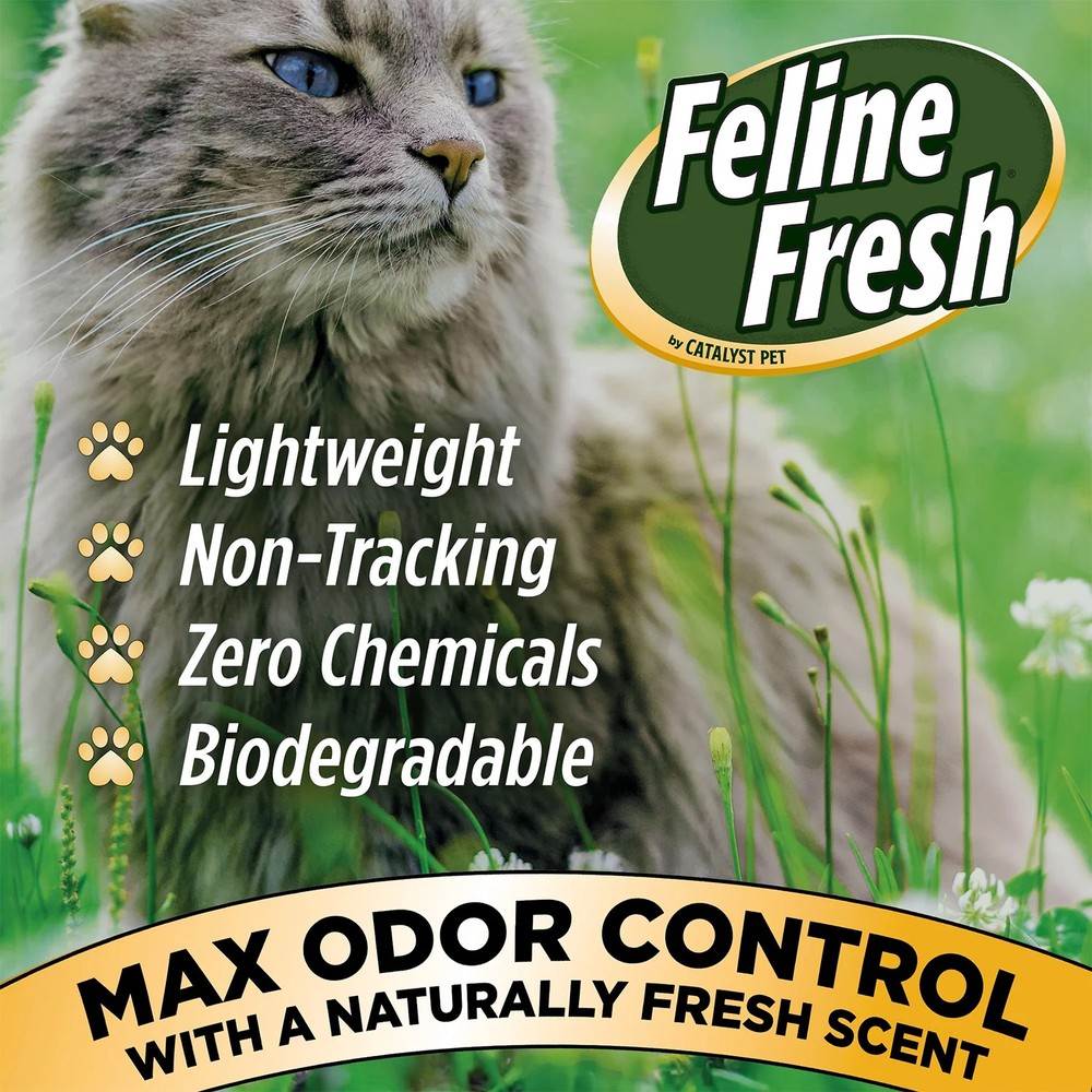 Non Clumping Natural Pine Pellet Cat Litter