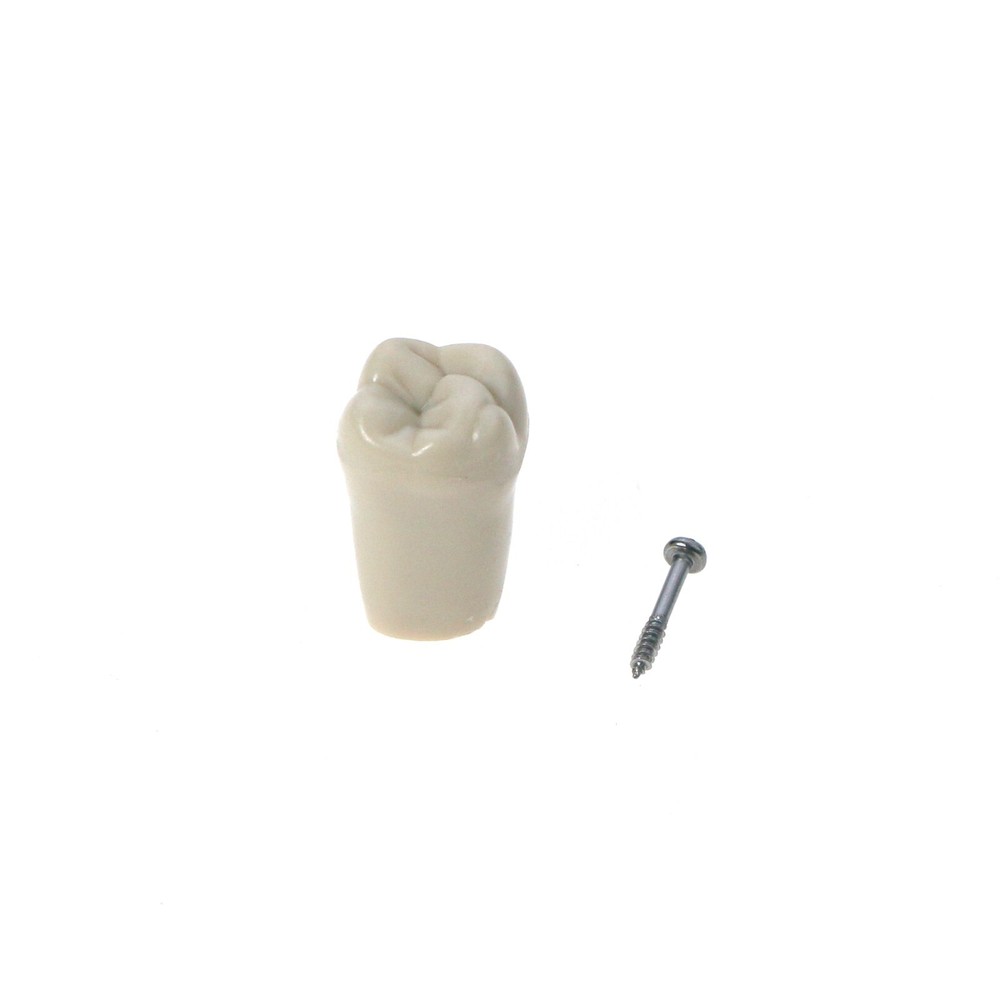 US Columbia Dentoform 860 Type Dental Tooth Model With 32pcs Replacement Teeth