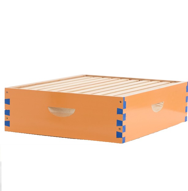 Beehive Langstroth 30 Wooden Frame Box Kit With Painting Boxes, 2 Deep 2 Medium
