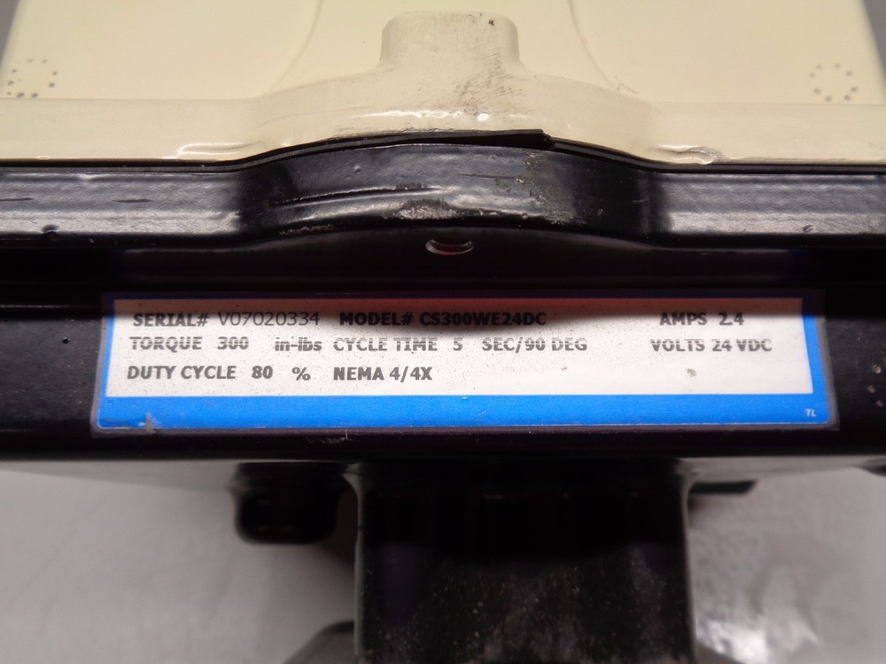 CS300WE24DC Actuated Motorized Valve