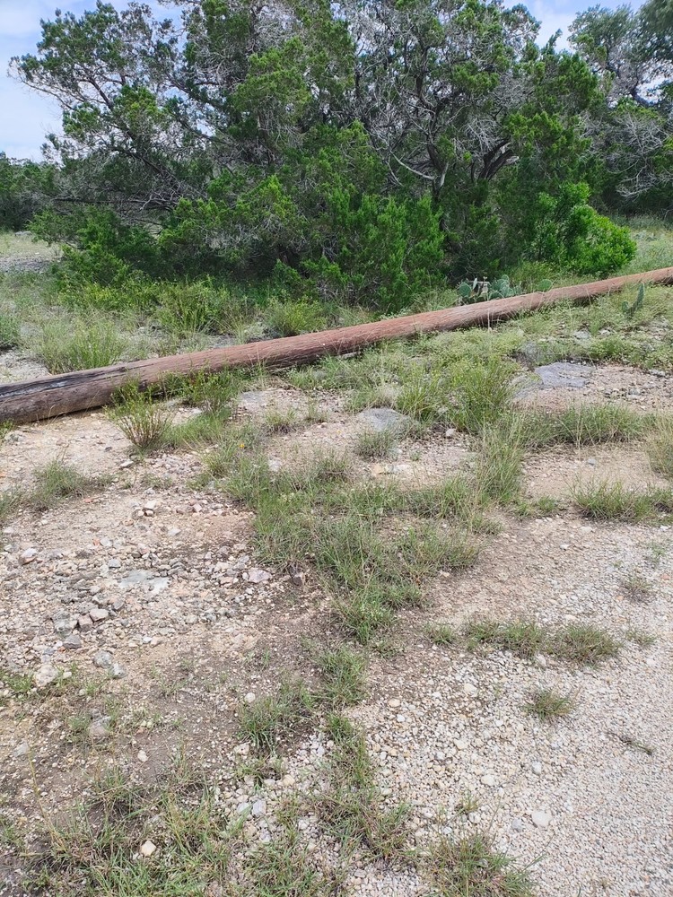 Telephone/Utility Poles