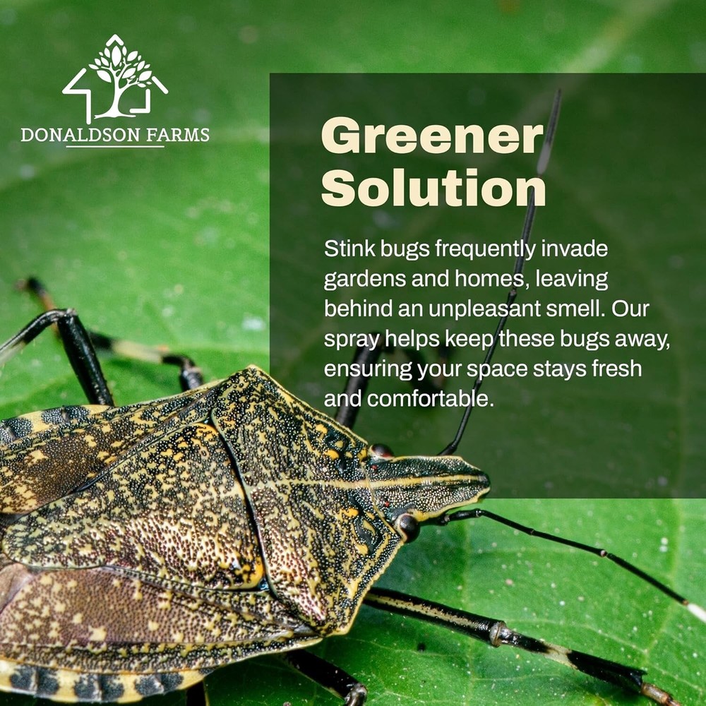 Stink Bug Killer, 16oz