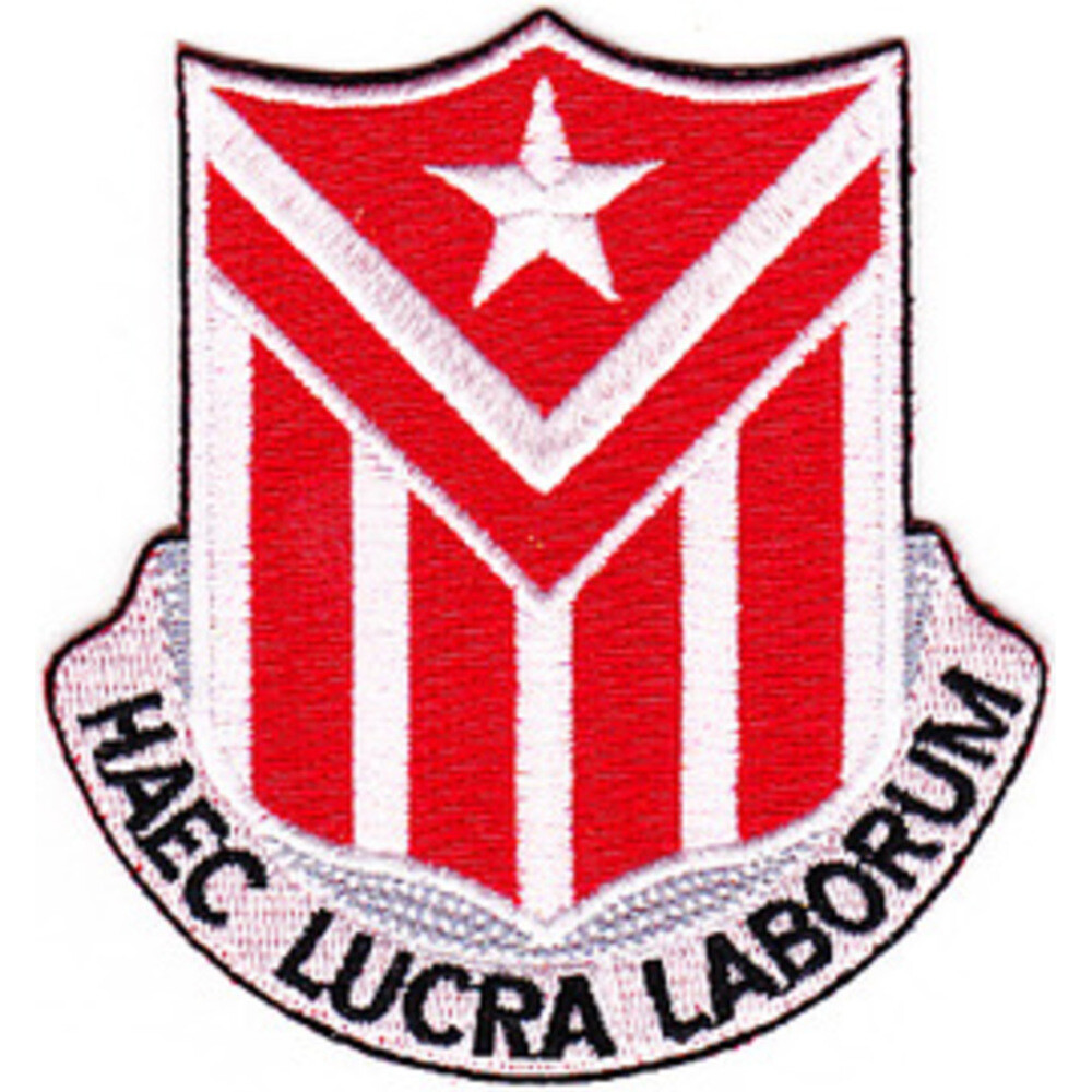 554th Engineer Battalion Patch
