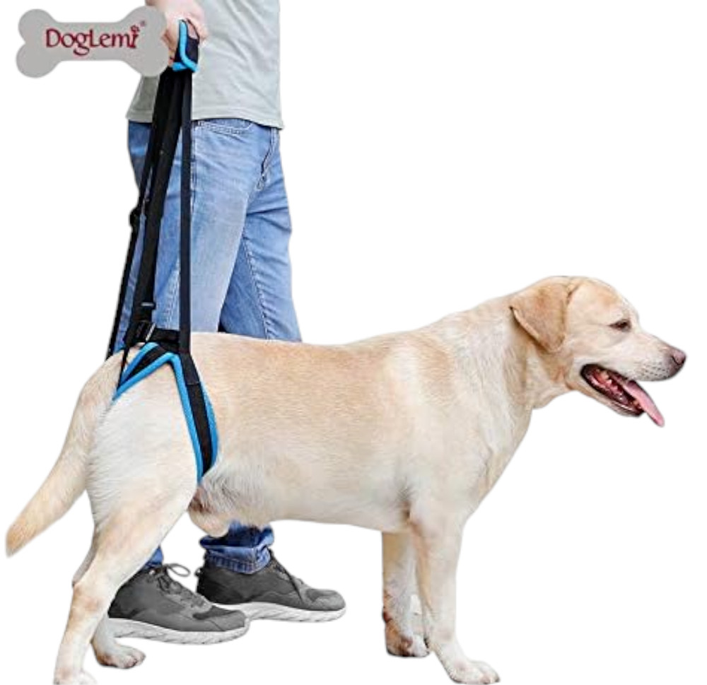Doglemi Dog Lift Support Harness Rear 2 Leg Sling Strap Size Medium - Adjustable