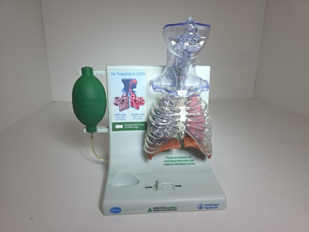 Vintage Pfizer Lung Display Model - Interactive Pump-expanding Lungs Works
