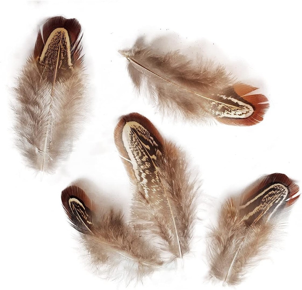 100 pcs Eco-Friendly Pheasant Feathers 2-3 inch for Crafting & Decorating