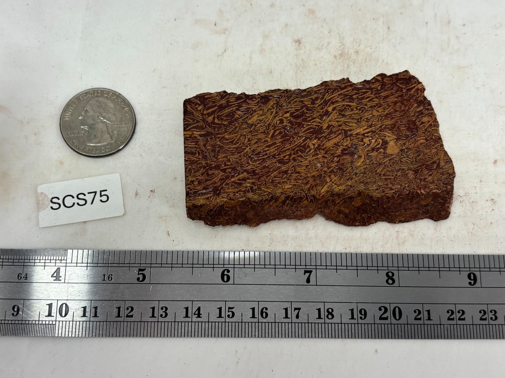 Script Stone Jasper Slab Cabbing Lapidary Collecting Combo Ship Avail