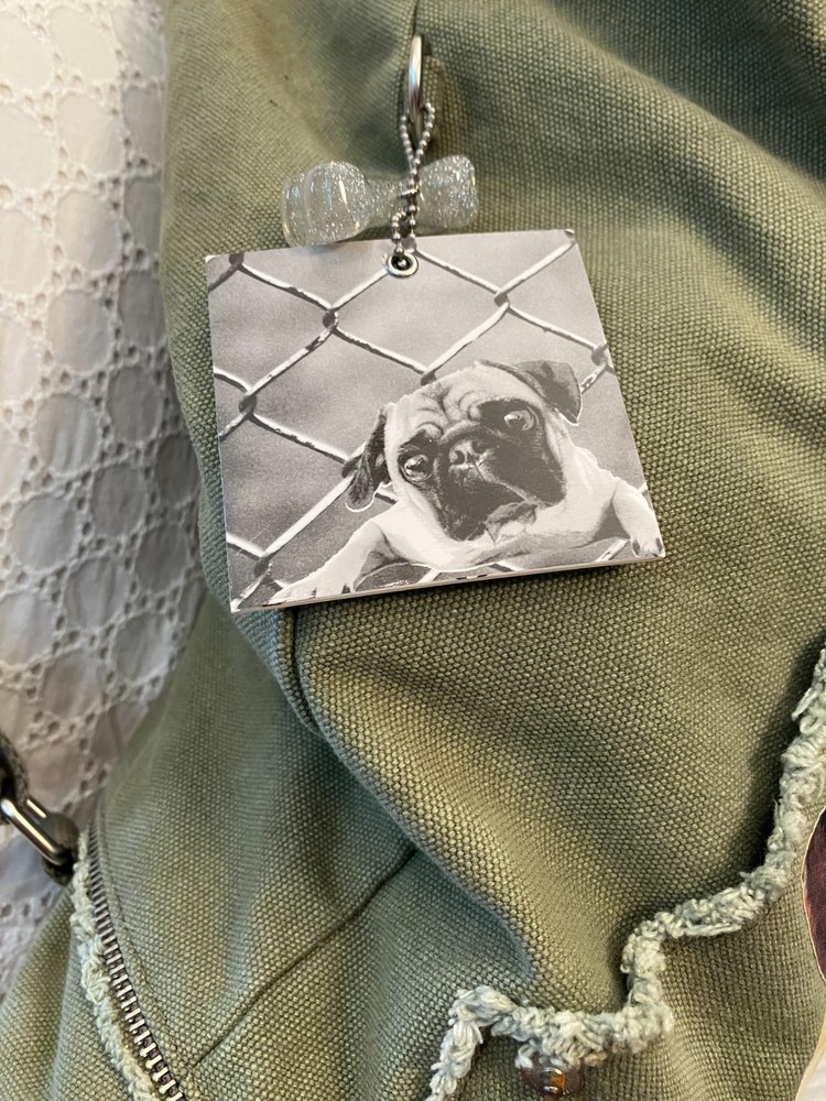 FUZZYNATION Backpack, Pug, Army Green Canvas with Tag, Pre-Owned