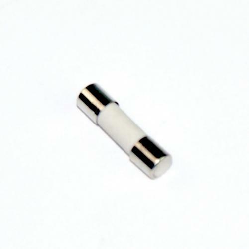 Panasonic F62309V60AP Fuse