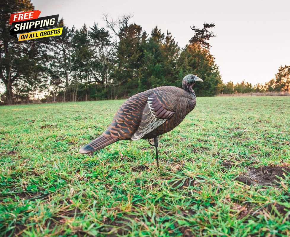 Flextone Thunder Breeder Hen Turkey Decoy