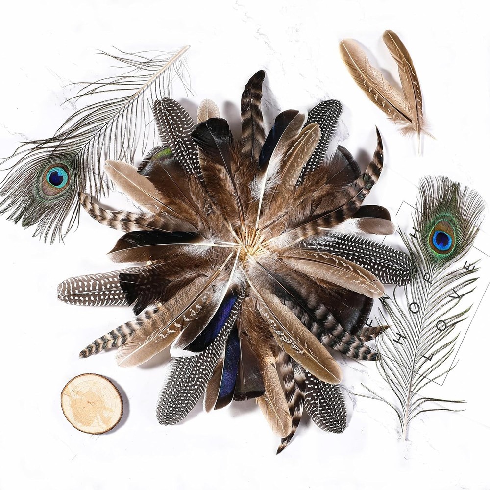 Holmgren 48pcs Natural Feathers Bulk - 6 Styles Assorted Peacock,