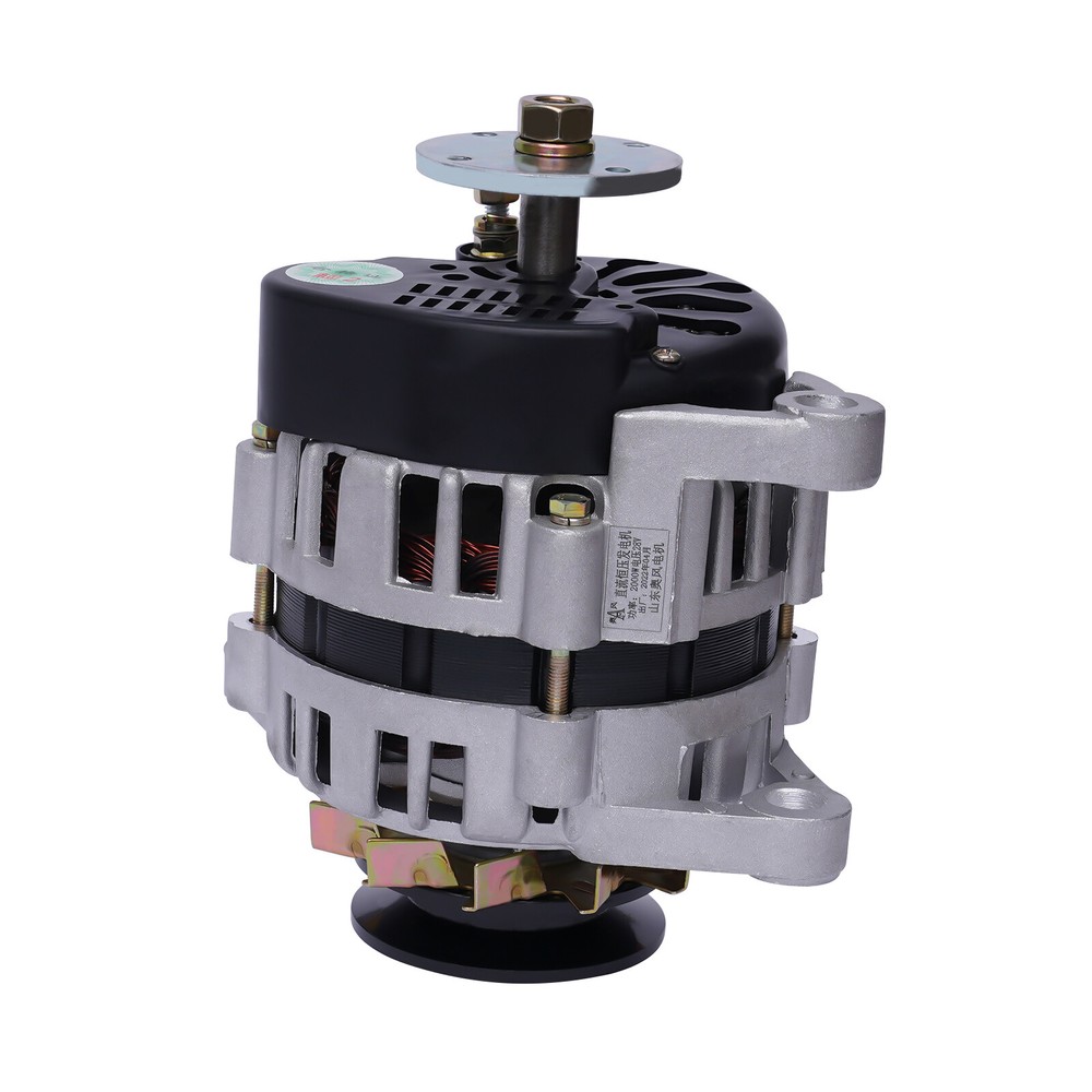 DC Low Rpm Alternator Charging 2000W Permanent Magnet Synchronous Generator