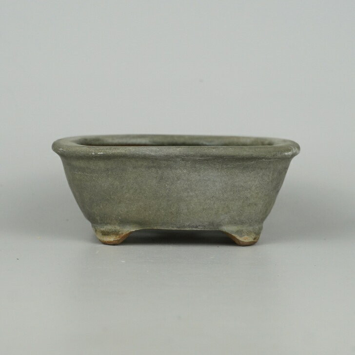 Pre-Owned Susami Bonsai Pot – Rectangular Ceramic Planter, 12cm (4.7in) Wide