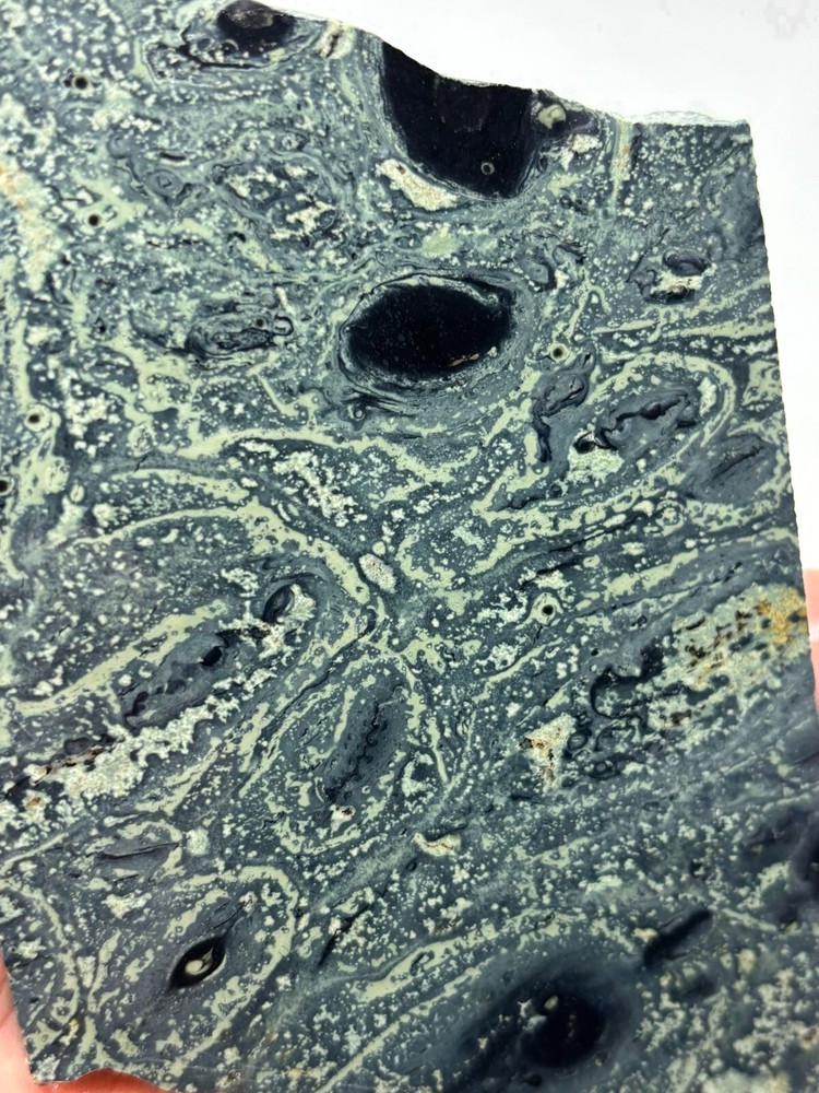 Kambaba Jasper Stromatolite Slab Lapidary Cabbing Combo Ship Avail