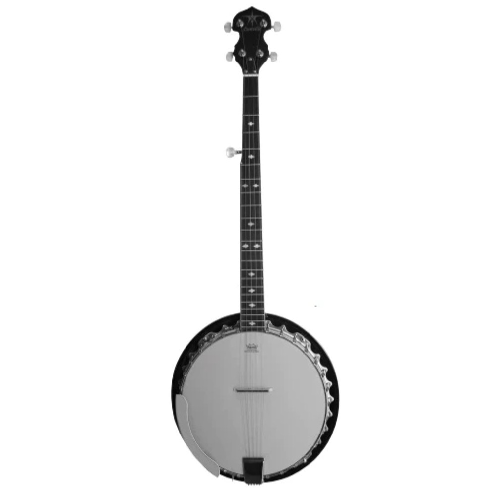 Danville BJ30 - Banjo