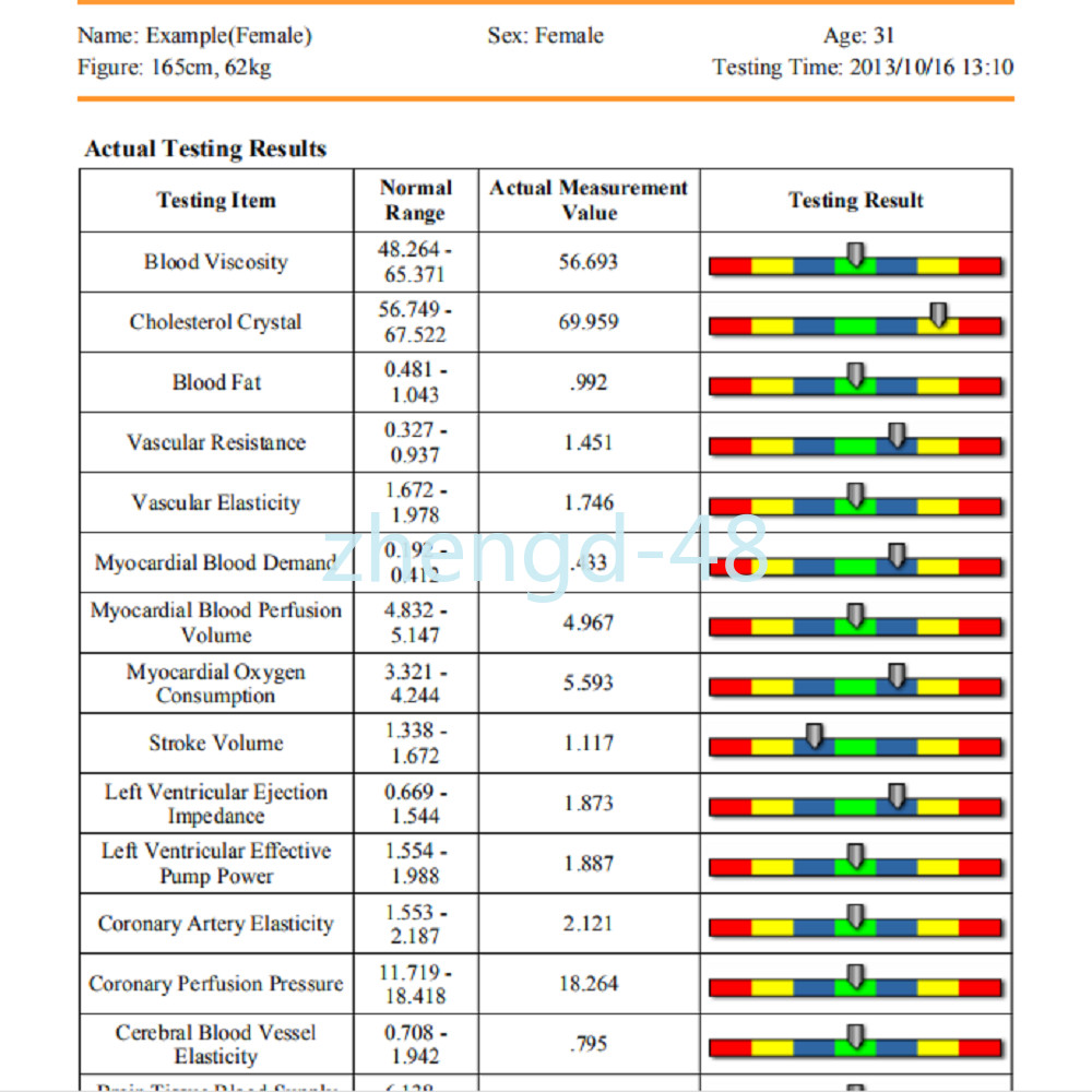 2025 Quantum Resonance Magnetic Analyzer Set White Hand Touch 62 Reports