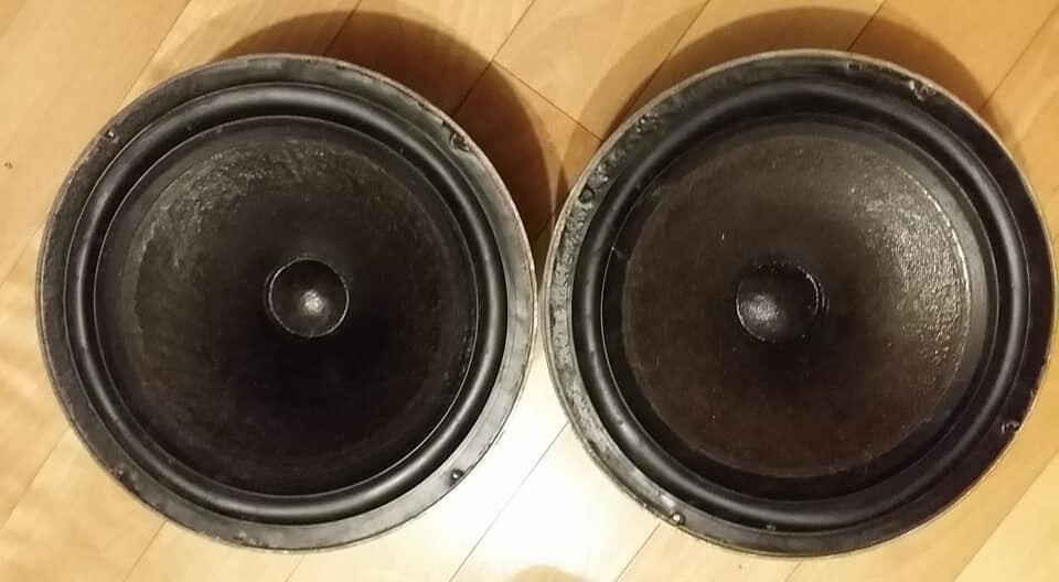 Celestion Ditton 33 woofer, price for each