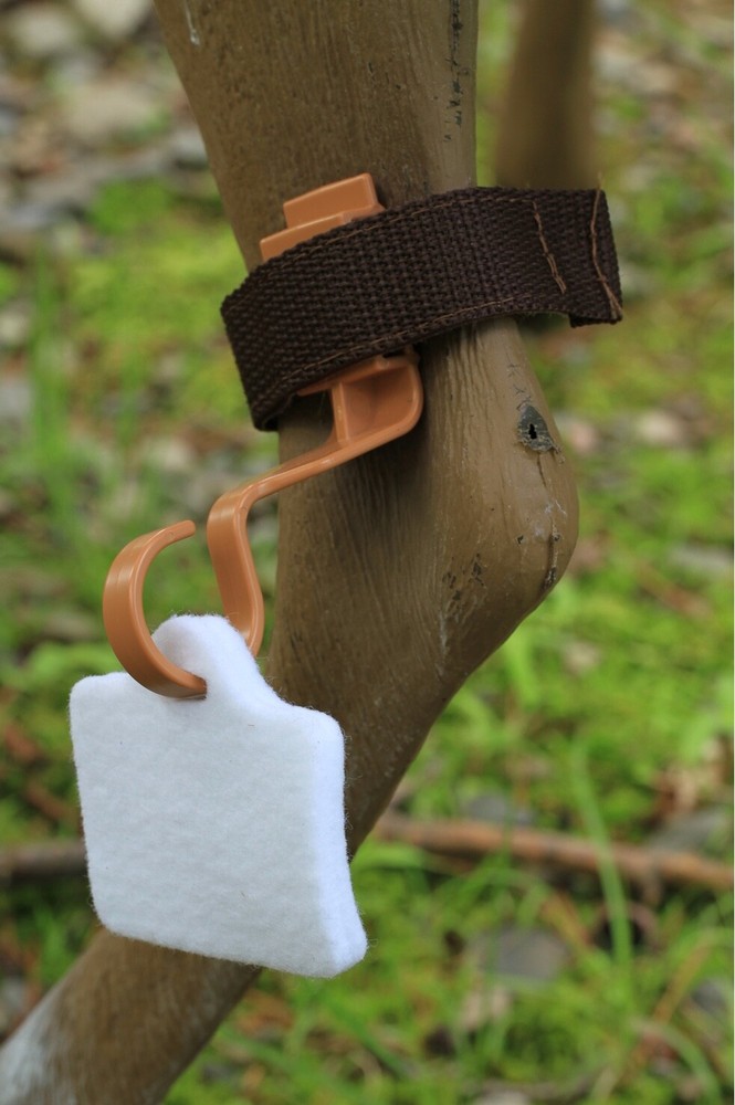 Deer Decoy Deer Scent BOSS BABE BUCK