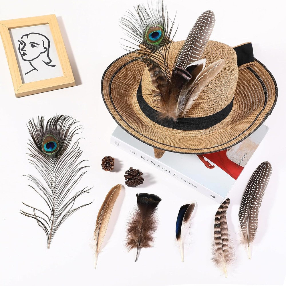 Holmgren 48pcs Natural Feathers Bulk - 6 Styles Assorted Peacock,