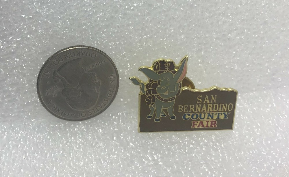 San Bernardino County Fair Pin