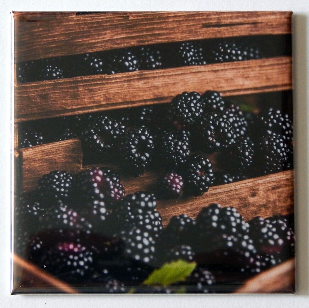 Blackberries FRIDGE MAGNET "style J"