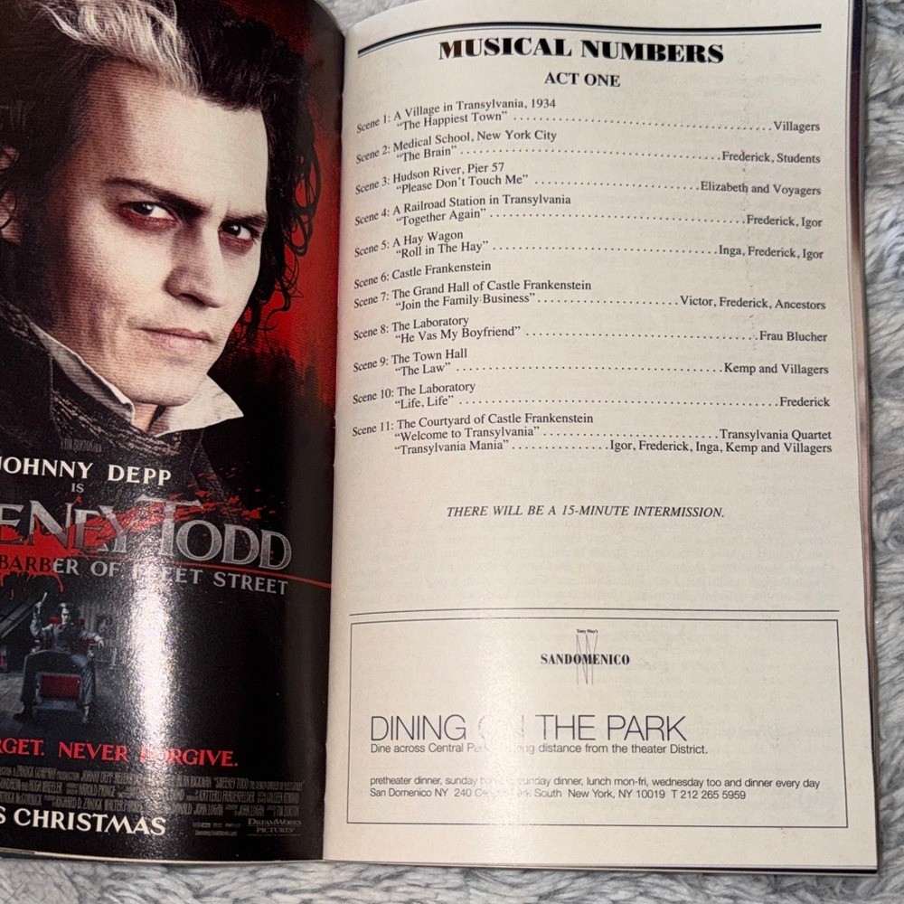Young Frankenstein Playbill Signed Autographed Broadway Memorabilia
