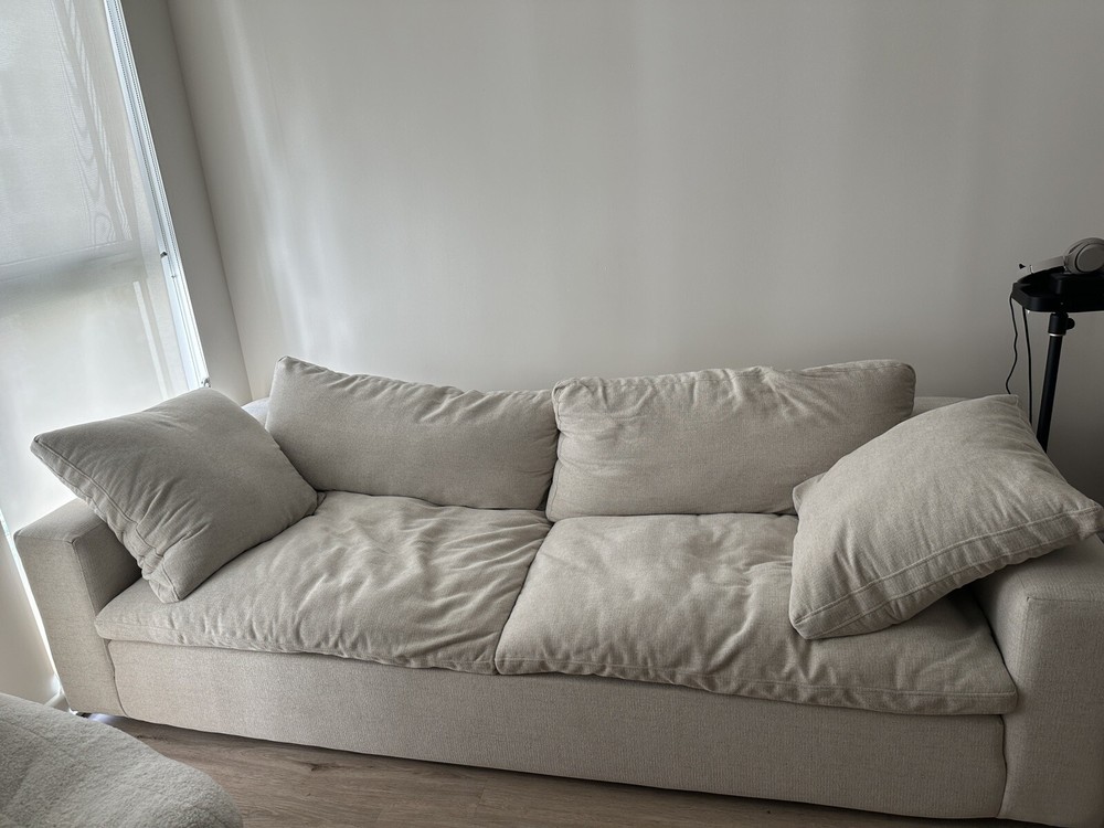 Living Spaces Utopia Sofa(lightly Used)