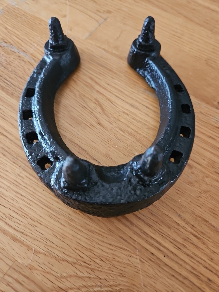 Black Decorative Horse shoes