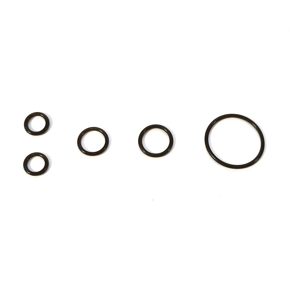 Nelson Seals O-Ring Kit for Fleck 5600 Injector Drain Module