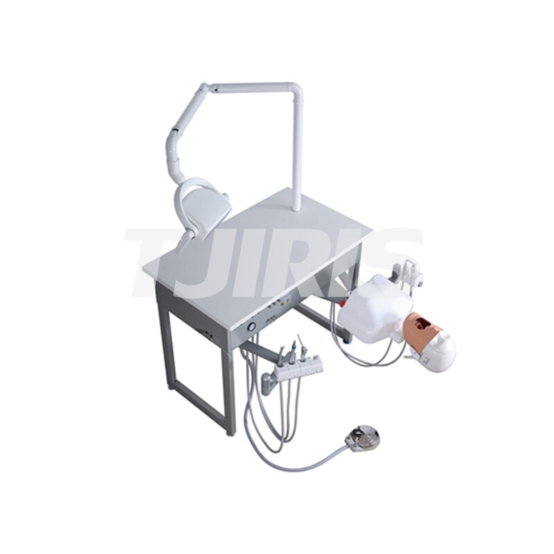 Dental Practice Simulator System Teaching Device Patient Manikin Phantom Model