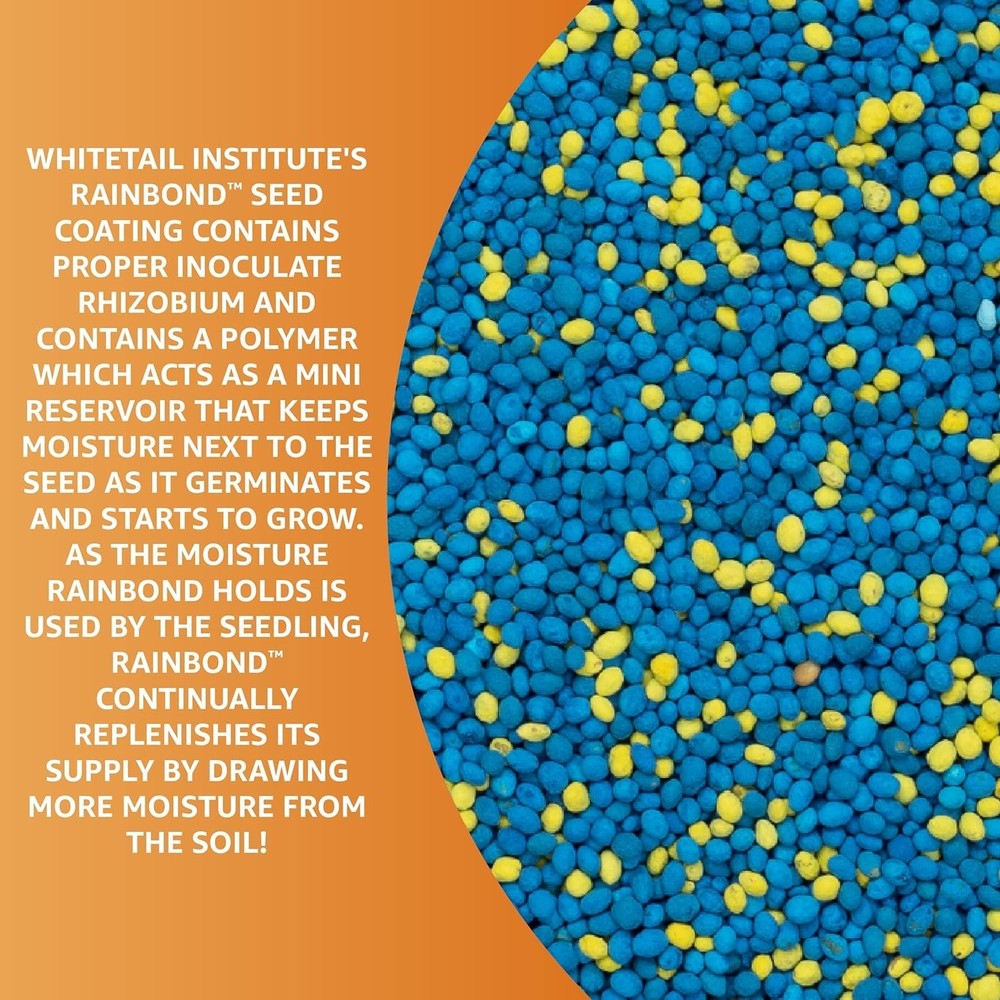 Imperial Clover Deer Food Plot Seed, 2 lbs - High-Protein & Antler Growth