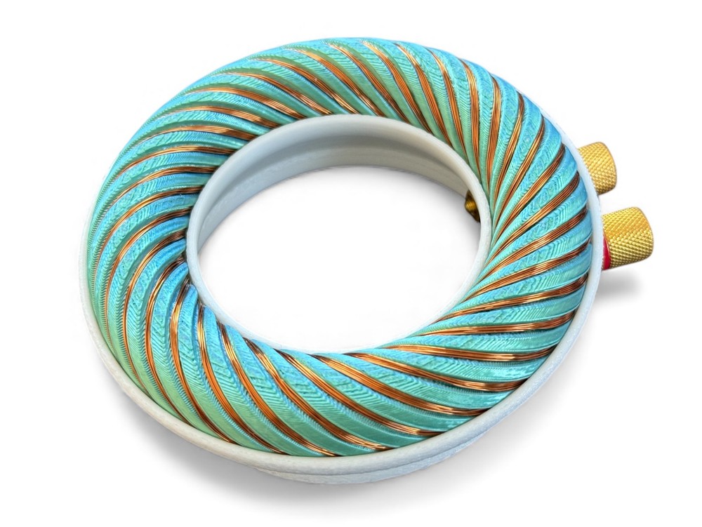 Rodin coil Scalar Wave toroidal field generator module