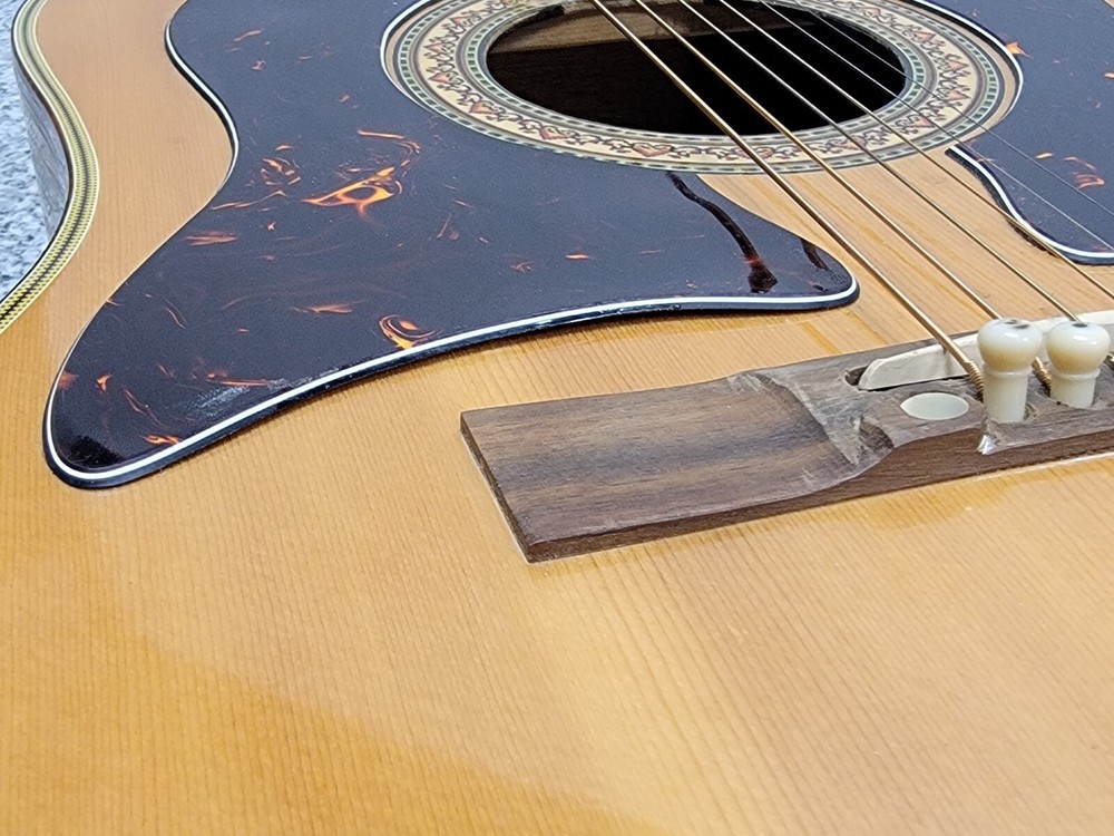 Checkmate G-300 6-String Acoustic Guitar