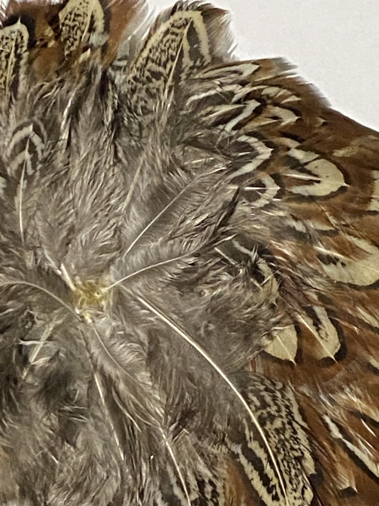 Cock Pheasant Shoulder Patch - Church Windows