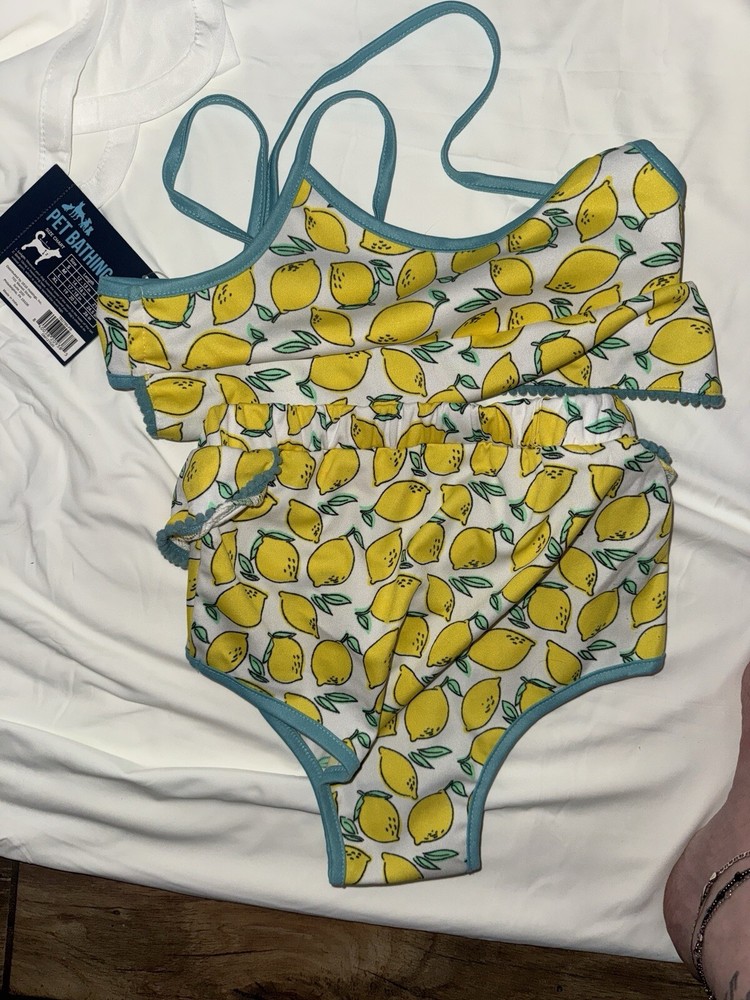 Harness, Collar & Bikini Lot
