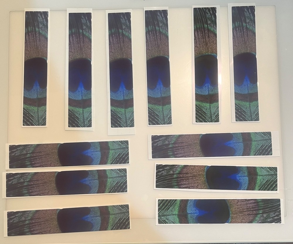 Custom Arrow Wraps 12 pack any size, design, Ect