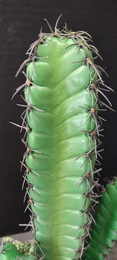 15" Artificial column cactus.