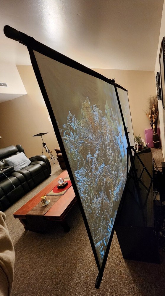 VEIDADZ Projector Screen Wall Mounted GreyAnti-Light 100" with projector Stand
